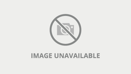 Ts Girl Trades Assfucks With A With Camilla Carvalho